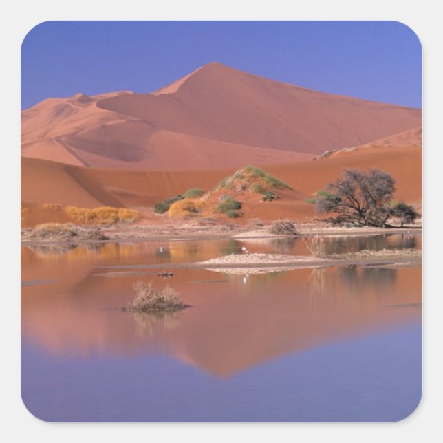 Africa, Namibia. Namib-Naukluft Park. 2 Square Sticker (Front)