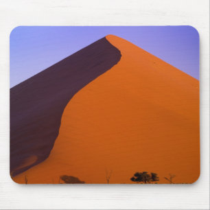 Africa, Namibia, Namib NP, Sossusvlei, Sand Mouse Mat