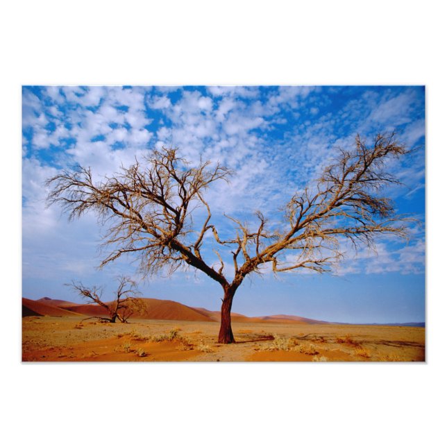 Africa, Namibia, Naukluft National Park, Photo Print (Front)