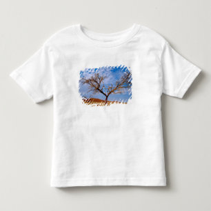 Africa, Namibia, Naukluft National Park, Toddler T-Shirt