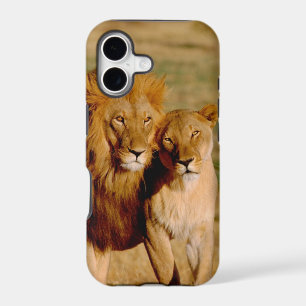 Africa, Namibia, Okonjima. Lion & lioness