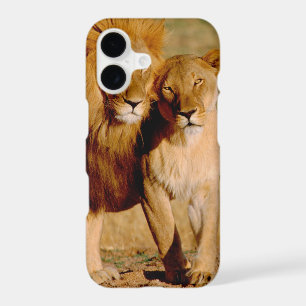 Africa, Namibia, Okonjima. Lion & lioness
