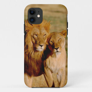 Africa, Namibia, Okonjima. Lion & lioness iPhone 11 Case