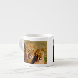 Africa, Namibia, Okonjima. Lion & lioness Espresso Cup