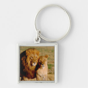Africa, Namibia, Okonjima. Lion & lioness Key Ring