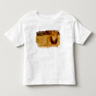 Africa, Namibia, Okonjima. Lone male lion Toddler T-Shirt