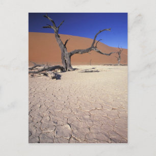 Africa, Namibia, Sossusvlei Region. Sand dunes Postcard