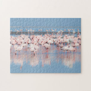 Africa, Namibia, Walvis Bay Jigsaw Puzzle