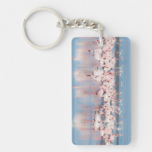 Africa, Namibia, Walvis Bay Key Ring