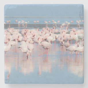 Africa, Namibia, Walvis Bay Stone Coaster