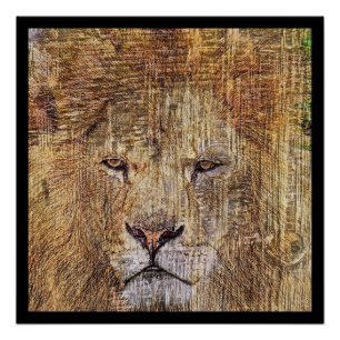 Africa safari animal wildlife majestic lion poster