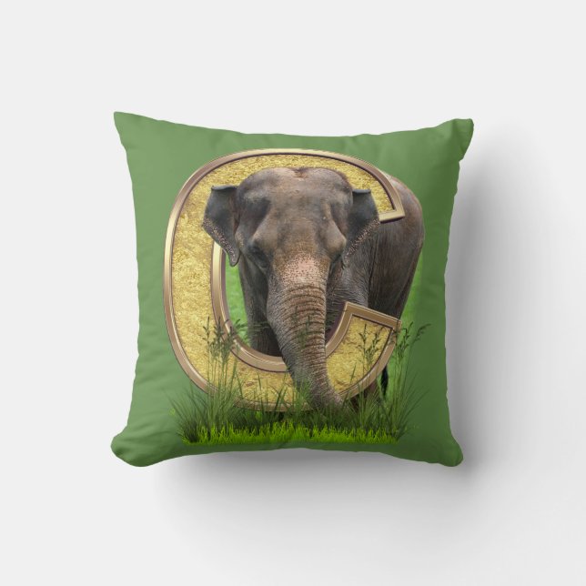 Africa-Safari Wildlife-Art Capital C Cushion (Front)