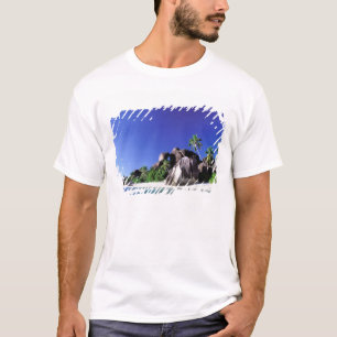 Africa, Seychelles, La Digue Island. Granite 3 T-Shirt