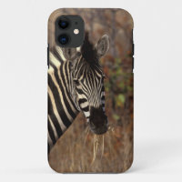 Africa, South Africa, Kruger NP Zebra portrait