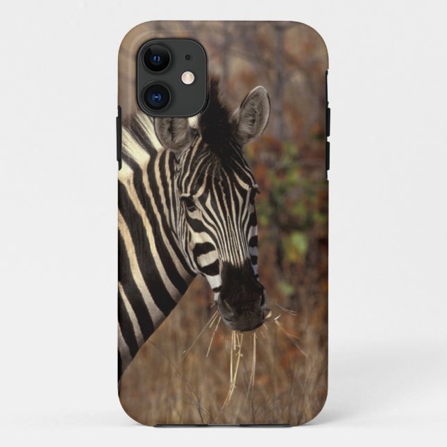 Africa, South Africa, Kruger NP Zebra portrait Case-Mate iPhone Case (Back)