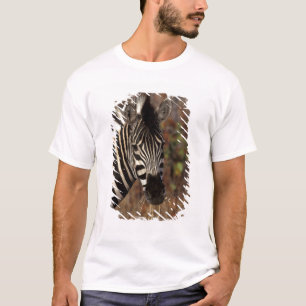 Africa, South Africa, Kruger NP Zebra portrait T-Shirt