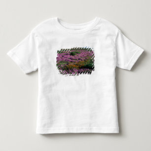 Africa, South Africa, Namaqualand, Orange and Toddler T-Shirt