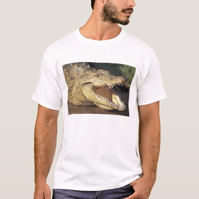 Africa, South Africa Nile crocodile T-Shirt (Front)