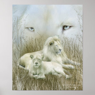Africa - Spirit Of The White Lion Art Poster/Print Poster