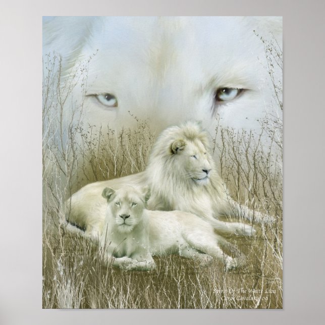 Africa - Spirit Of The White Lion Art Poster/Print Poster (Front)