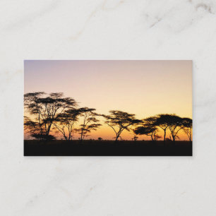 Africa - Sunset Business Card