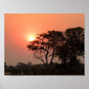 Africa Sunset Trees Nature Landscapes Skies Poster