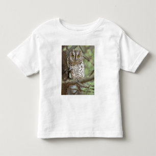 Africa. Tanzania. African Scops Owl at Tarangire 2 Toddler T-Shirt
