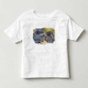 Africa. Tanzania. Blue Monkey mother with young Toddler T-Shirt