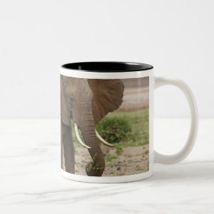 Africa. Tanzania. Elephant at Lake Manyara NP. Two-Tone Coffee Mug