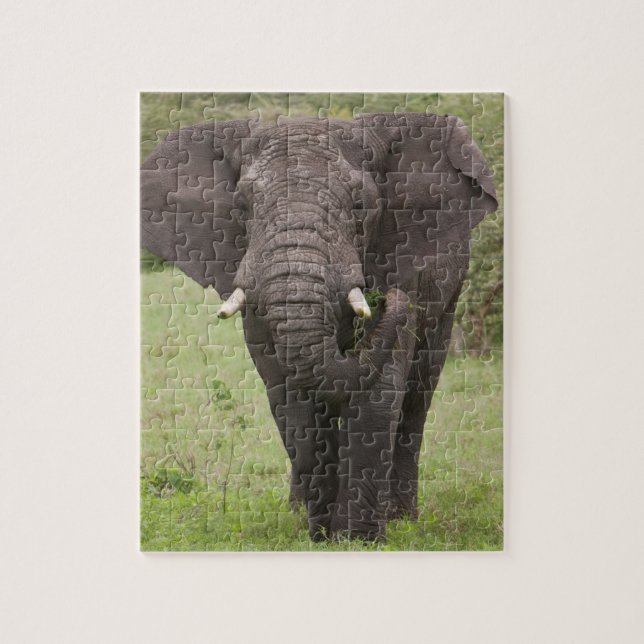Africa Tanzania Elephant at Ngorongoro Crater Jigsaw Puzzle (Vertical)
