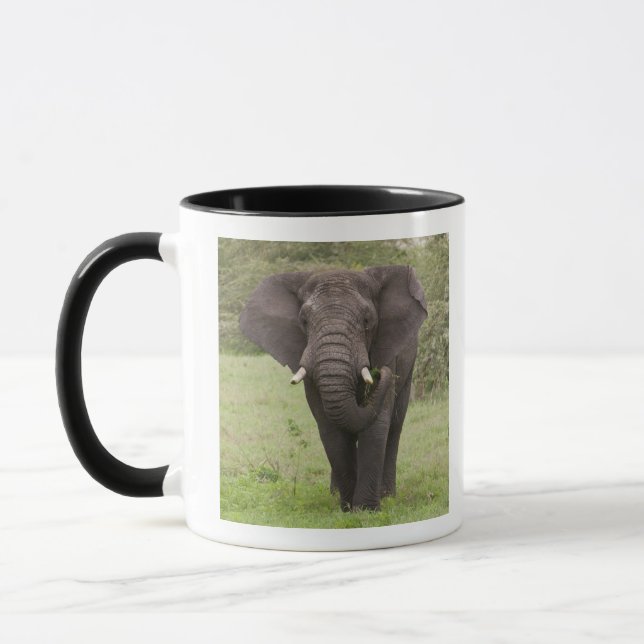 Africa Tanzania Elephant at Ngorongoro Crater Mug (Left)