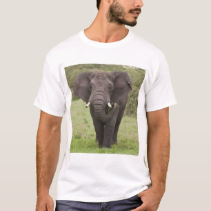Africa Tanzania Elephant at Ngorongoro Crater T-Shirt