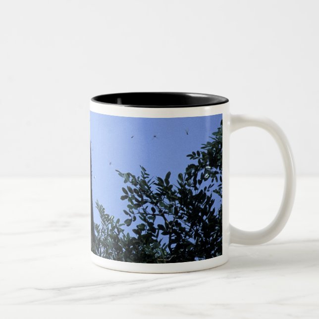 Africa, Tanzania, Glitter reaches for flying Two-Tone Coffee Mug (Right)
