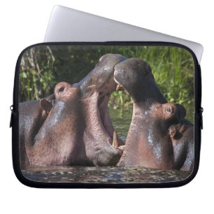 Africa. Tanzania. Hippopotamus sparring Laptop Sleeve