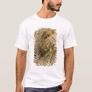 Africa. Tanzania. Male Lion at Ngorongoro T-Shirt