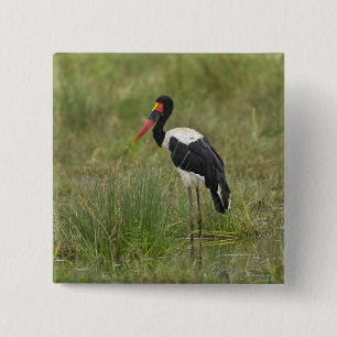 Africa. Tanzania. Male Saddle-billed Stork 15 Cm Square Badge