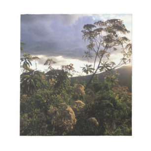 Africa, Tanzania, Ngorongoro Conservation Area, Notepad