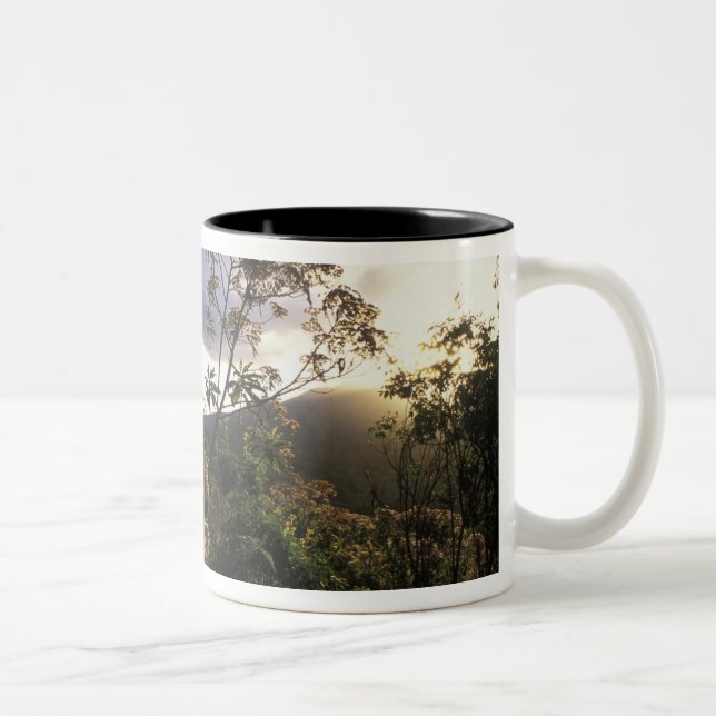 Africa, Tanzania, Ngorongoro Conservation Area, Two-Tone Coffee Mug (Right)