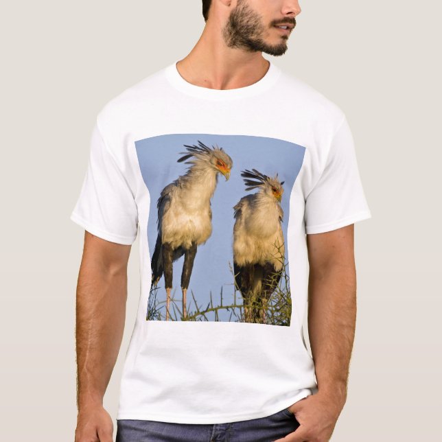 Africa. Tanzania. Secretary Birds at Ndutu T-Shirt (Front)