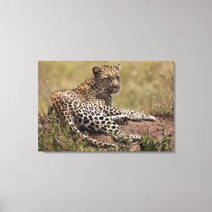 Africa, Tanzania, Serengeti. Leopard Canvas Print