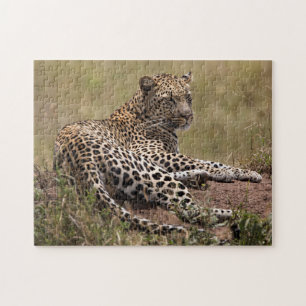 Africa, Tanzania, Serengeti. Leopard Jigsaw Puzzle