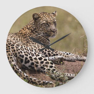 Africa, Tanzania, Serengeti. Leopard Large Clock