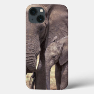Africa, Tanzania, Tarangire National Park. 2 iPhone 13 Case