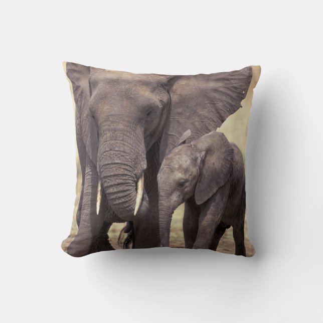 Africa, Tanzania, Tarangire National Park. 2 Cushion (Front)