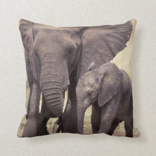 Africa, Tanzania, Tarangire National Park. 2 Cushion