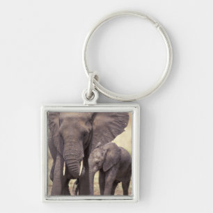 Africa, Tanzania, Tarangire National Park. 2 Key Ring