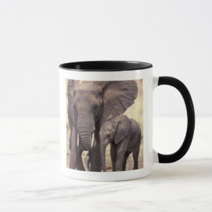 Africa, Tanzania, Tarangire National Park. 2 Mug
