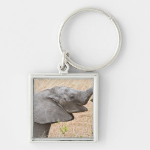 Africa. Tanzania. Young Elephant at Tarangire Key Ring