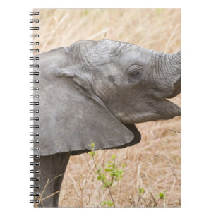 Africa. Tanzania. Young Elephant at Tarangire Notebook