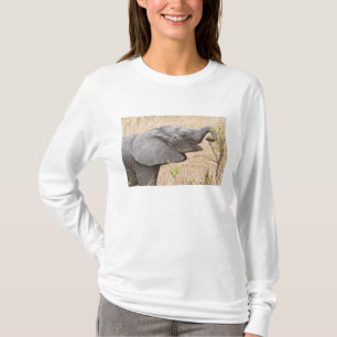 Africa. Tanzania. Young Elephant at Tarangire T-Shirt